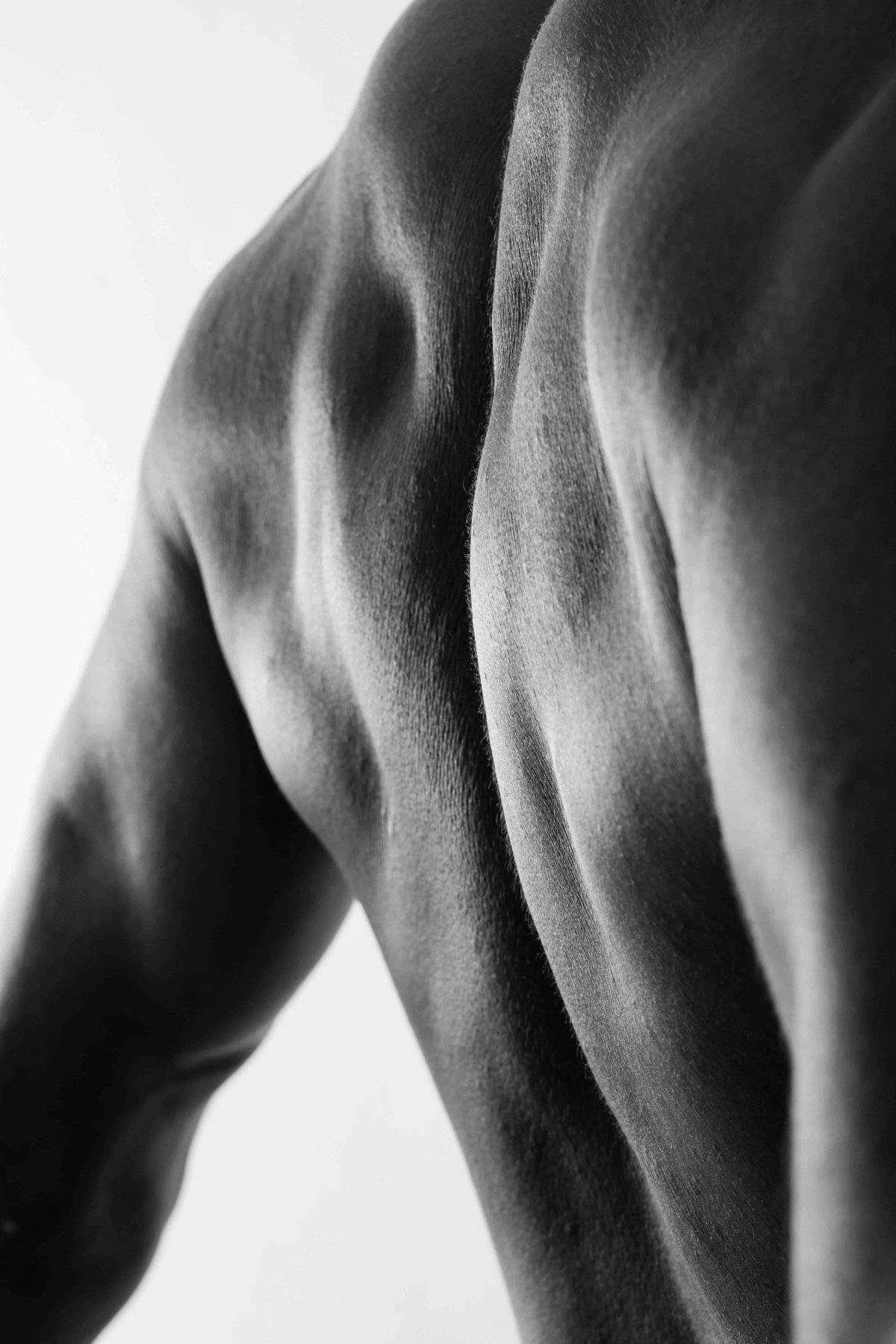 The Muscle Code